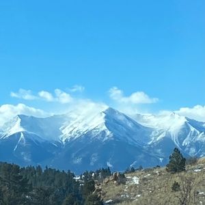 Meet your Posher, Janet